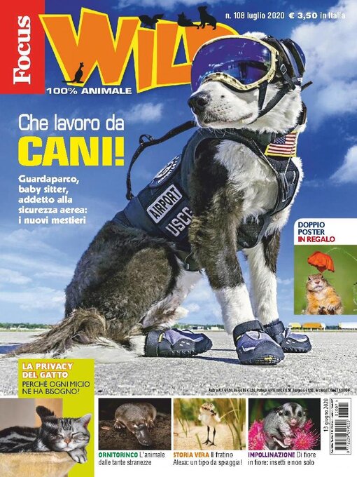 Title details for Focus Wild  by Mondadori Media S.p.A., S.L.L. - Available